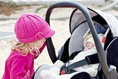Infant Safety Seat (Rear Facing only)