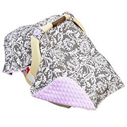 Mother’s Lounge Carseat Canopy