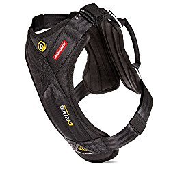 crash rated dog harness