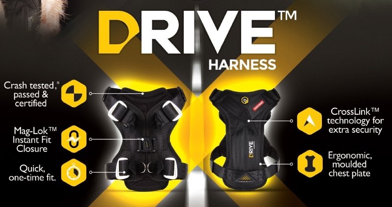 Ezydog 2024 drive harness