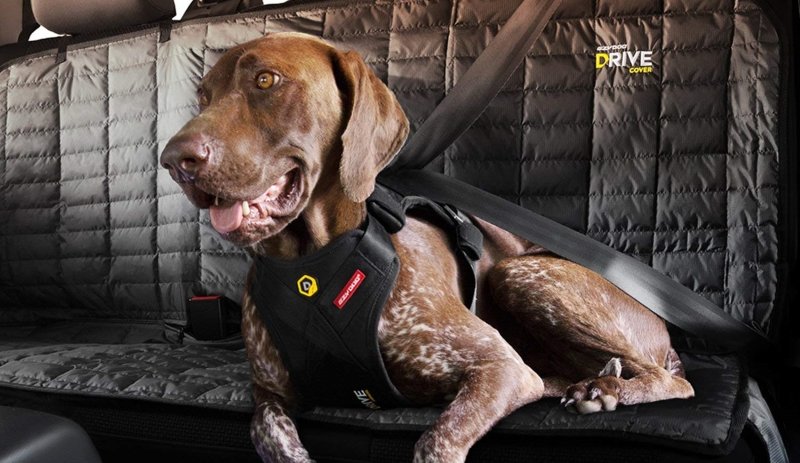 Ezydog drive harness best sale