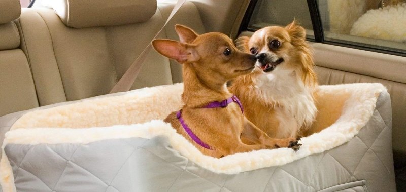 GENORTH Hund Autositz Dog Car Seat Rüsten Sie den tragbaren Deluxe Pet Car Booster-Autositz mit aufsteckbarer Sicherheitsleine perfekt für kleine Haustiere 