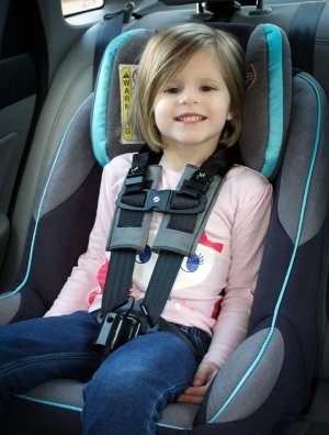 Car seat restraints shop for special needs