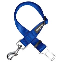 Read Blueberry Pet Dog Collars & Seat Belts review​
