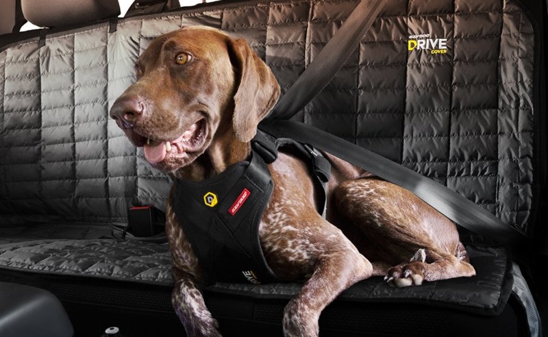  Perro de mascota cinturón de seguridad asiento ajustable de  coche harnesh correa viaje de retención Clip, Azul : Productos para Animales