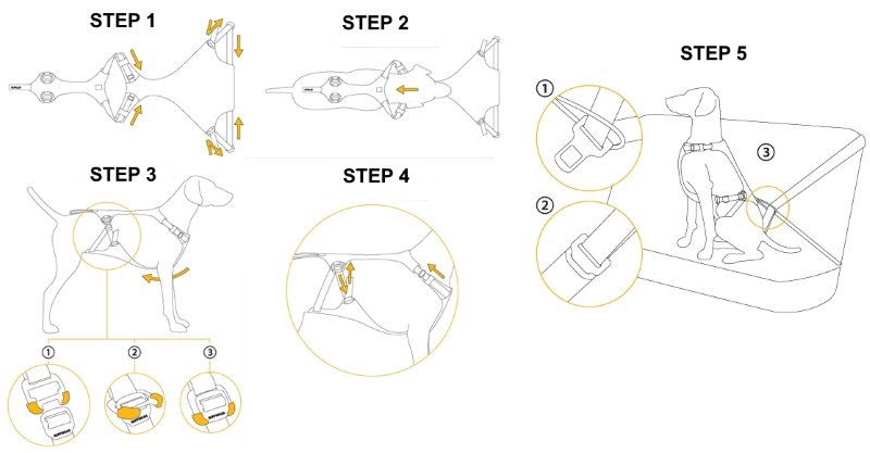 How to put the Load Up Harness on a Dog